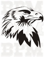 /album/vtaky/vtaky-3-jpg/